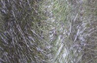 Laughern Hill fibreglass roof work